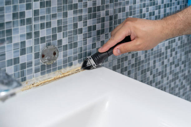 Best Professional Mold Removal  in Queen City, TX