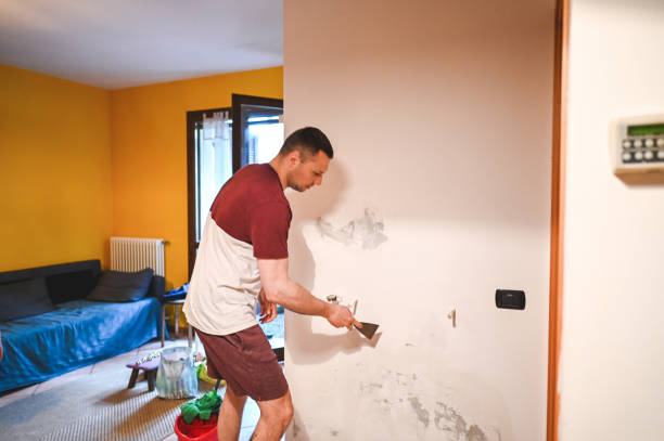  Queen City, TX Mold Removal Pros