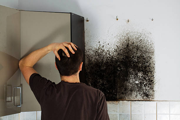 Best Crawl Space Mold Removal  in Queen City, TX